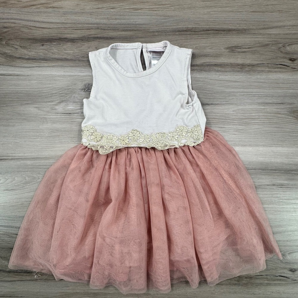 Little Lass Toddler Girls Grey Pink Tulle Tutu Dress Gold Lace 3T WGTW938G